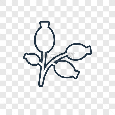 直的,分离着色,概念,野玫瑰,计算机图标,玫瑰,电子邮件,清新,食品,耙子