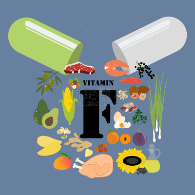维生素,绘画插图,矢量,英文字母F,健康生活方式,健康食物,有机食品