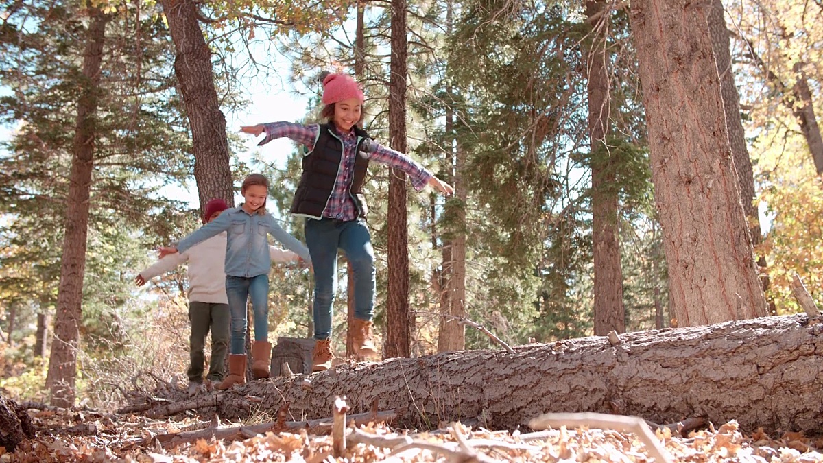 三个孩子在森林中倒下的树上平衡