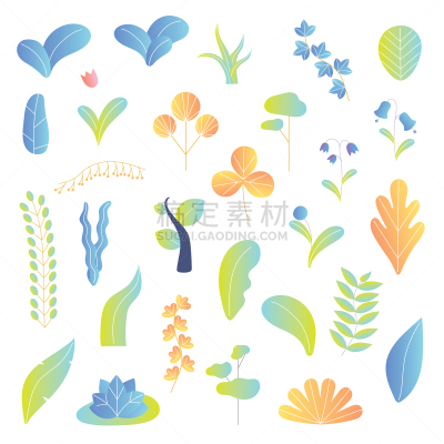 生物学,环境,背景,绘画插图,自然,有机食品,草本,叶子,多色的,矢量