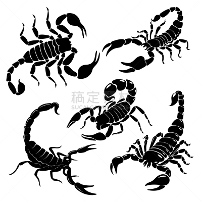 蝎子,黑白图片,野生动物,蜘蛛纲,动物,尾巴,收集,布置,剪影