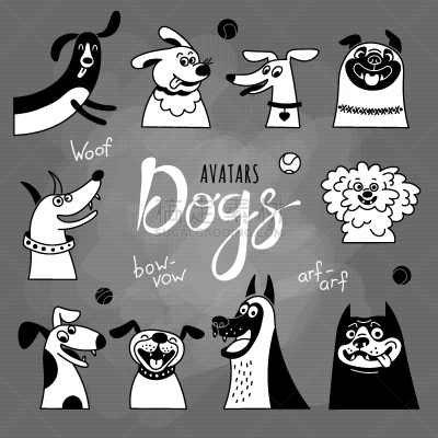 狗,巴哥犬,快乐,幽默,头像,大腿前部,分离着色,可爱的,宠物,收集