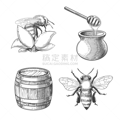 蜂蜜,蜜蜂,雕刻图像,桶,健康保健,清新,药,食品,健康,成分