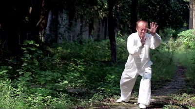 老人在公园里练习太极