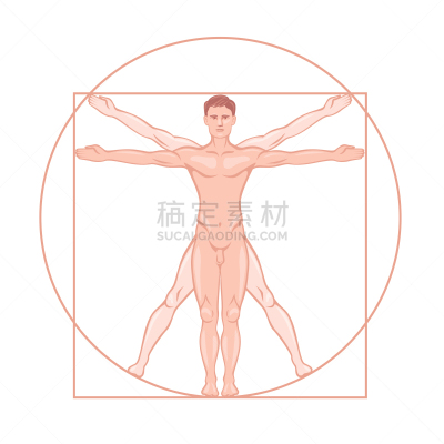 比例,达芬奇,矢量,维特鲁威人,绘画插图,插画,对称,背景分离,几何学,圆形