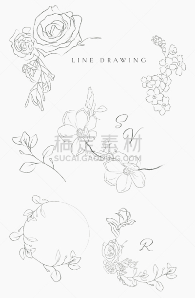 边框,线条画,枝,矢量,花环,华丽的,请柬,铅笔,简单,复古风格