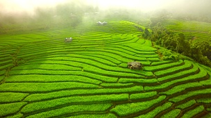 泰国北部的水稻梯田空中拍摄。 