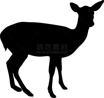 黑色,小鹿,白色背景,可爱的,野生动物,哺乳纲,动物,剪影,站,驯鹿