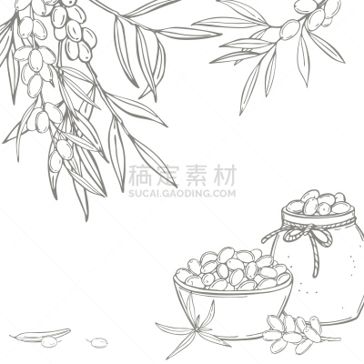 沙棘,动物手,背景,矢量,健康保健,清新,自然界的状态,药,食品,橙色