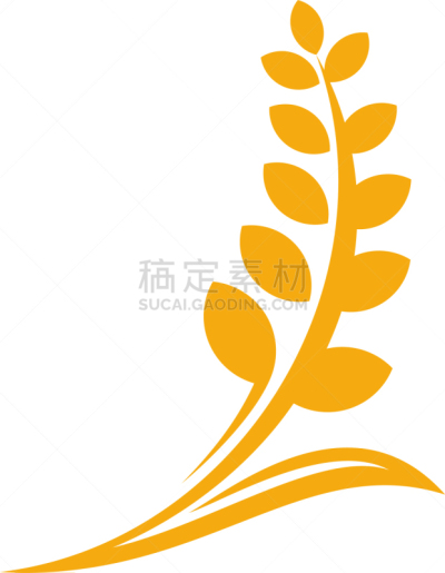 农业,模板,品牌名称,全麦,华贵,谷物,面包,食品,现代,燕麦