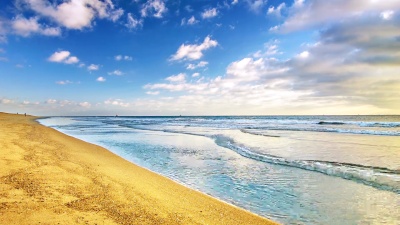 一天。大海。