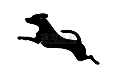 狗,活力,纯种犬,运动,背景分离,敏捷,简单,动物,猎犬,比格犬