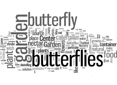 invite butterflies to your garden