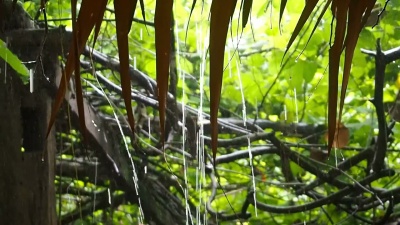 雨滴