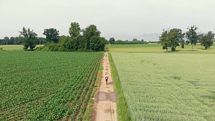 空中 男子沿着乡村公路骑自行车穿过耕地