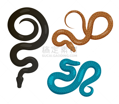 蛇,矢量,计算机图标,顶部,视角,背景分离,热带气候,蛇皮纹,野生动物,长的