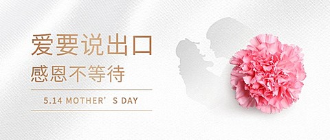 母亲节简约温馨公众号首图