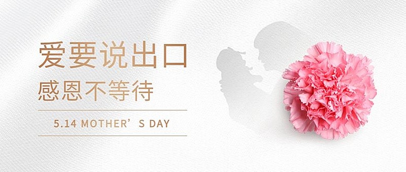母亲节简约温馨公众号首图