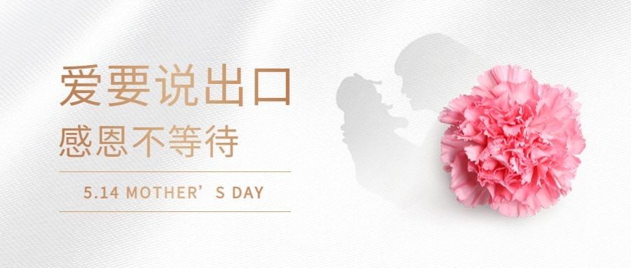 母亲节简约温馨公众号首图