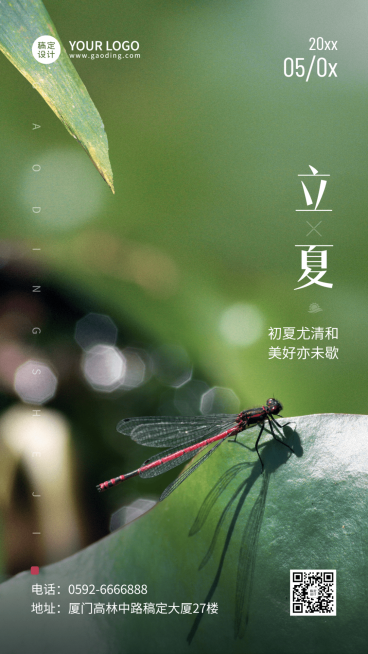立夏节气祝福排版手机海报预览效果