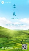 模板缩略图