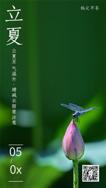 餐饮美食立夏节气祝福实景日签预览效果