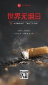 模板缩略图