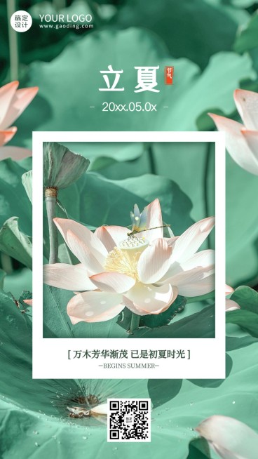 立夏节气问候祝福夏天莲花手机海报预览效果