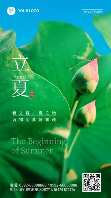 立夏节气祝福排版荷花手机海报预览效果