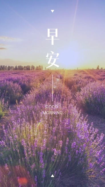早安问候唯美手机海报预览效果