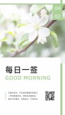 模板缩略图