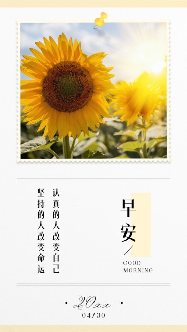 金融保险早安语录向日葵朝气励志日签海报预览效果