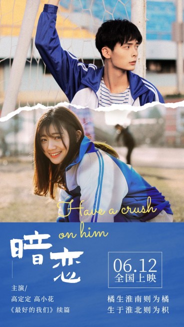 少女风明星电影宣传应援海报预览效果