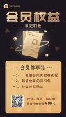 模板缩略图
