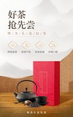 模板缩略图