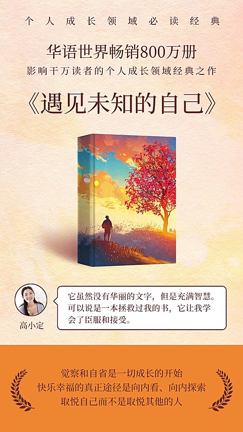 心灵鸡汤书籍图书四史海报
