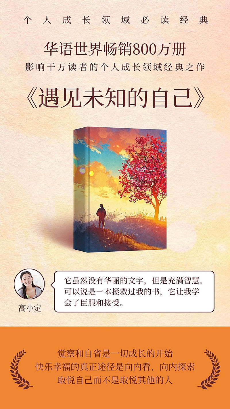 心灵鸡汤书籍图书四史海报