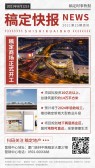 模板缩略图