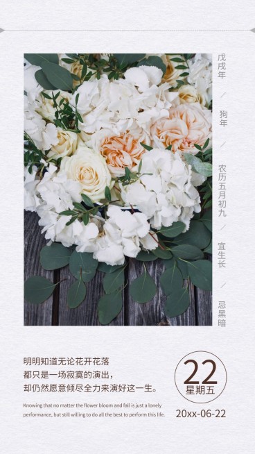 日签问候植物小清新手机海报预览效果