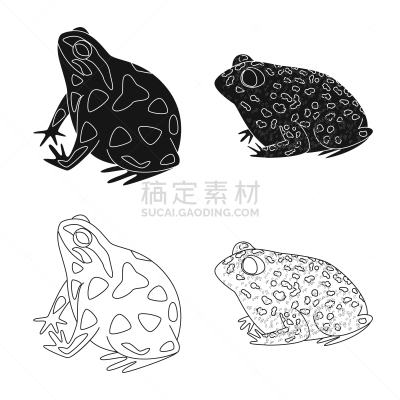 野生动物,藓沼,符号,生物学,青蛙,动物,牛蛙,两栖纲,人类腺体,爬行纲