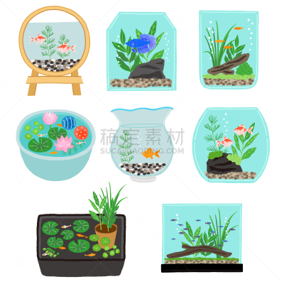 鱼缸,鱼类,日本,宠物,水彩画颜料,草,水生植物,日本青鳉,浮木,布置