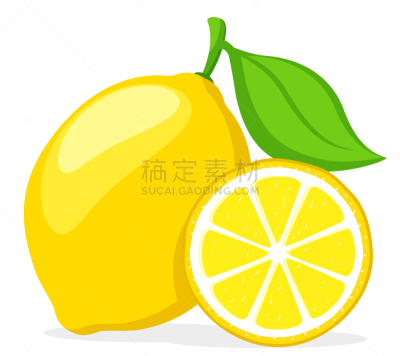 柠檬,白色,完整,叶子,一半的,绿色,横截面,部分,背景分离,热带气候