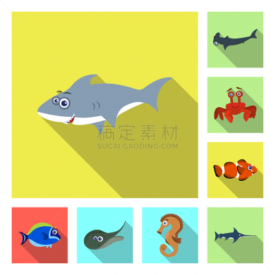 动物,海洋,图标,式样,水下,可爱的,性格,自然,收集