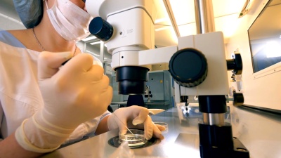 体外受精完成。一位女科学家正在检查精子样本。IVF，ECO，体外受精。
