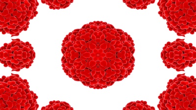 五颜六色的爱心与激情色彩概念对称图案装饰性万花筒运动几何圆和星形