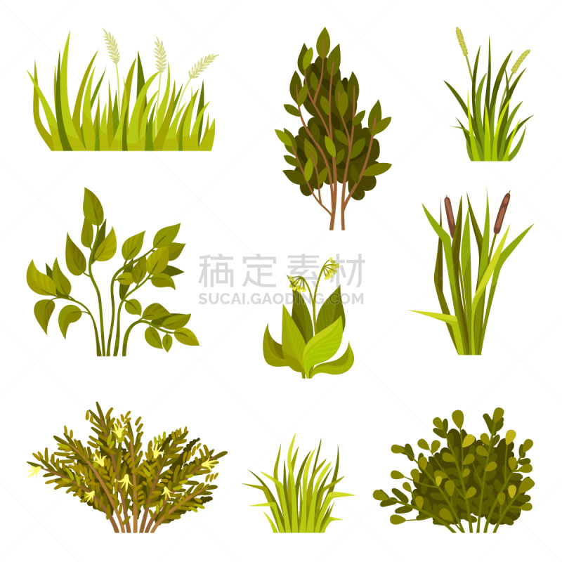 灌木,反差,字体,清新,环境,植物群,枝繁叶茂,草,自然美,布置