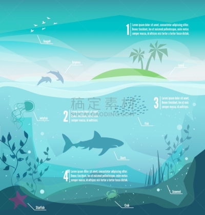 水下,鸡尾酒,自然,图像,水母,海洋,海豚,海星,动物,藻类