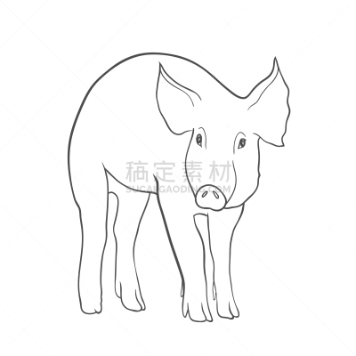 猪,草图,农业,象,哺乳纲,牛,动物,农场,站