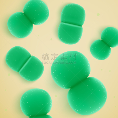 细菌,肠球菌,生物学,肠杆菌,微生物学,健康保健,生物科技,乳杆菌,植物群,写实