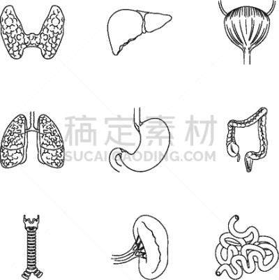 轮廓,巨大的,计算机图标,时尚,分离着色,人,图像,布置,收集